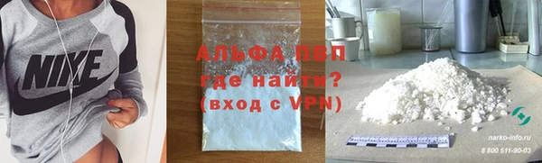 мяу мяу мука Аркадак