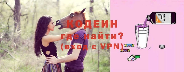 соль ск Арсеньев