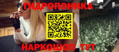СК Гатчина