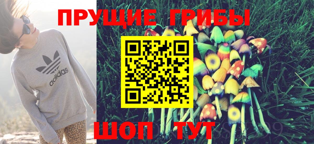 Галлюциногенные грибы Psilocybine cubensis  купить наркотик  Новый Уренгой  Вход с VPN 